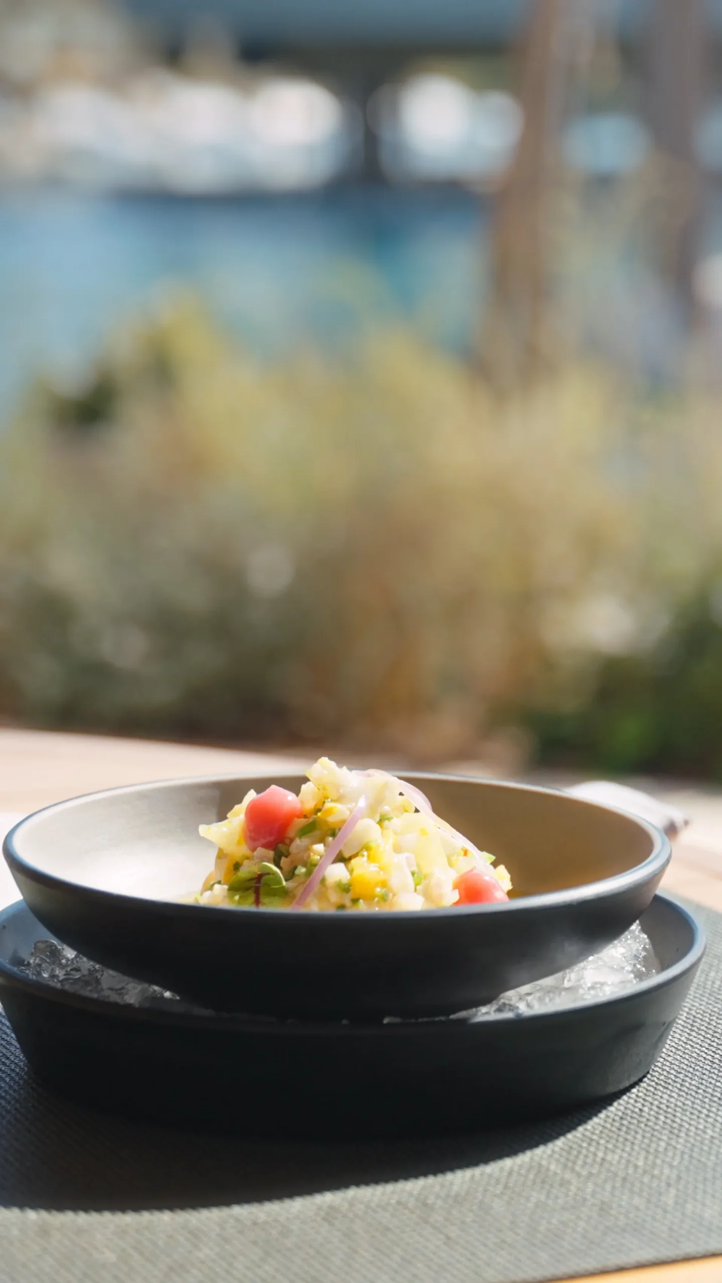 [MO COSTA NAVARINO]Still 2025-11-04 132443_1.259.5